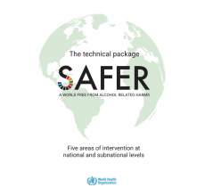 The SAFER technical package: five areas of intervention at national and subnational levels